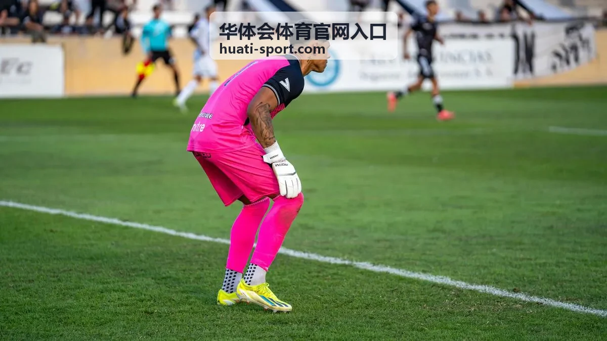 华体会体育数据情报